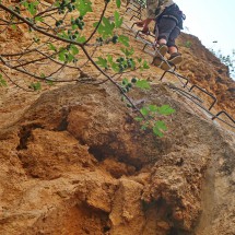 Steep and airy Via Ferrata Tajo Ronda II with a fig tree in the foreground 